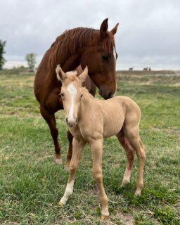 A welcome sight this morning—a sweet dose of sunshine on an overcast day. ❤️
