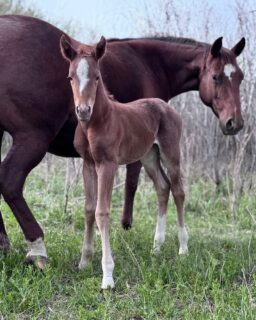 Some new little feet joined the party last night! ❤️