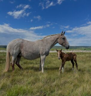 A lovely new addition and a very proud mom.❤️