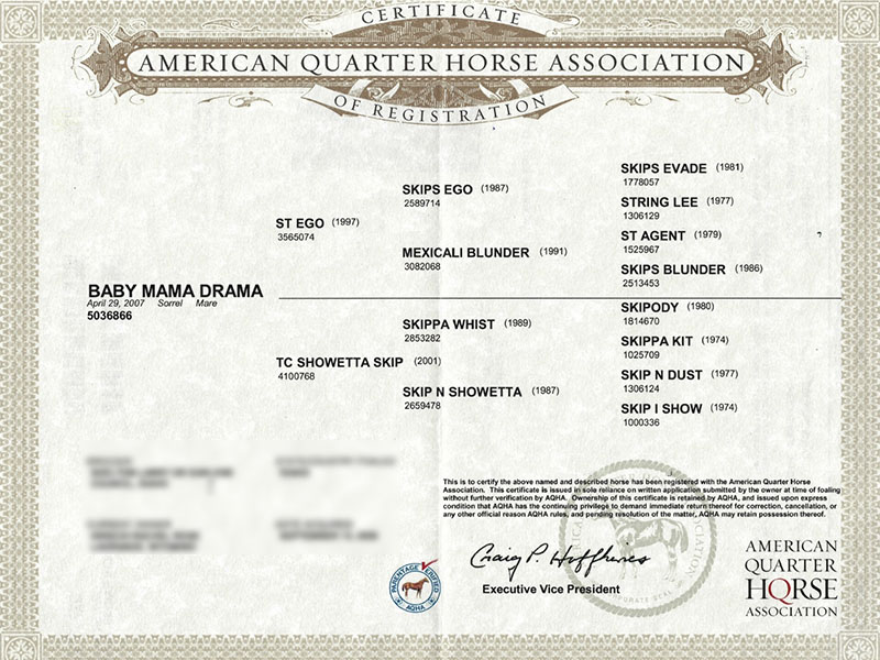 BABY MAMA DRAMA - Certificate