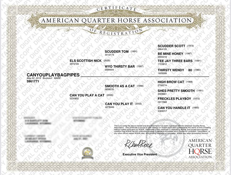 CANYOUPLAYBAGPIPES - Certificate