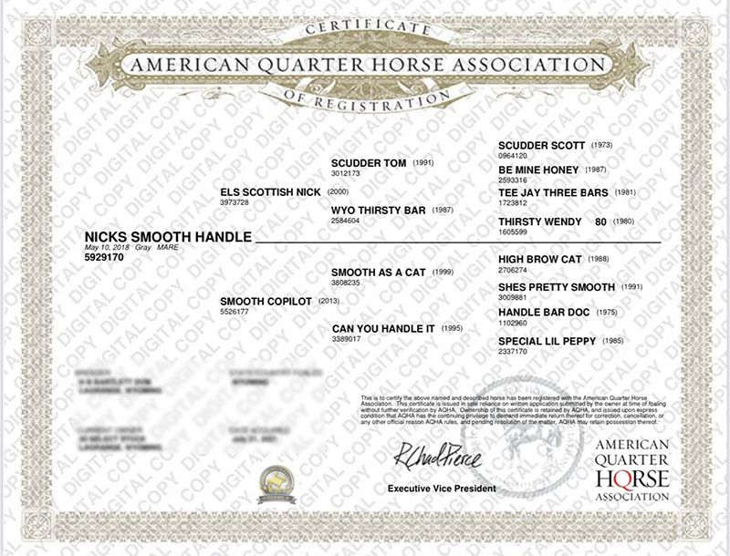 NICKS SMOOTH HANDLE - Certificate