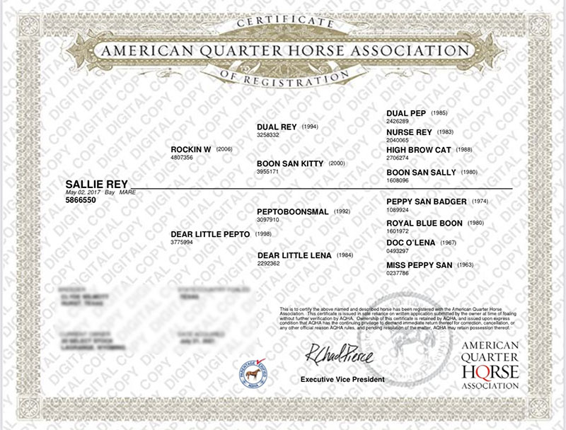 SALLIE REY - Certificate