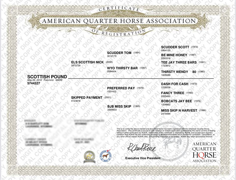 SCOTTISH POUND - Certificate