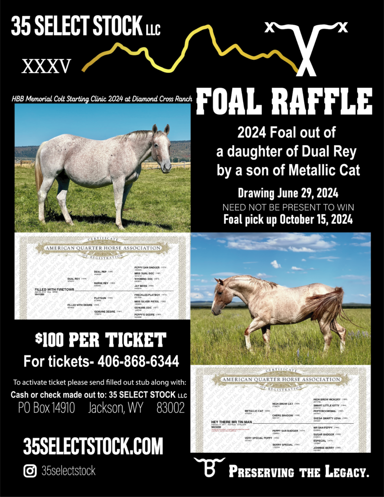 foal-raffle-2024